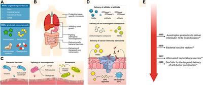 Microbial Biocontainment Systems for Clinical, Agricultural, and Industrial Applications